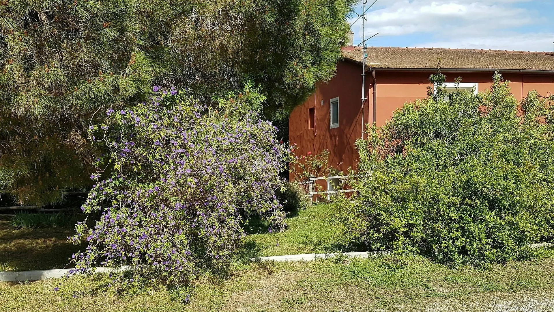 ** Hotel Tenuta Col Di Sasso Scarlino Italy